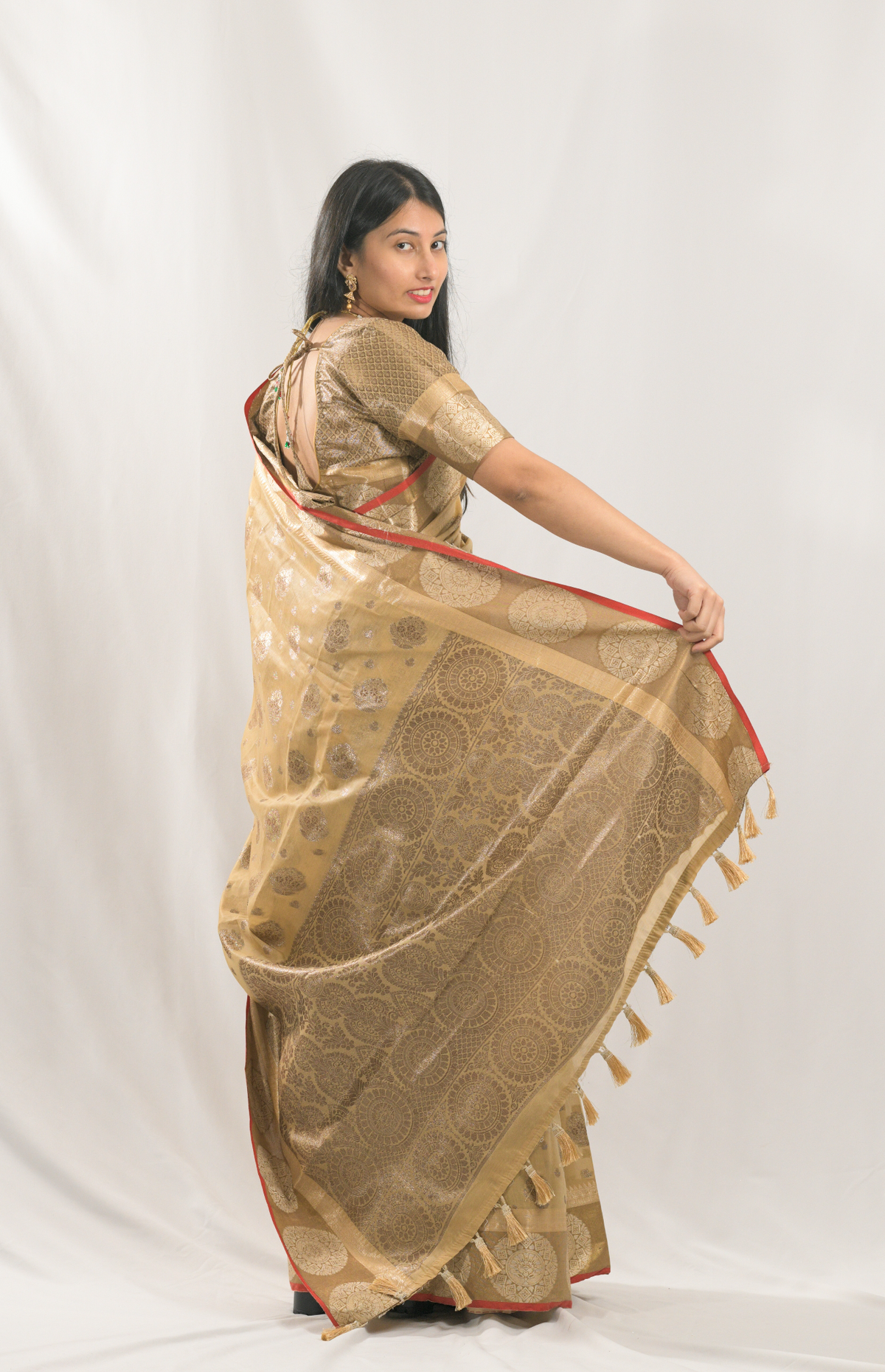 Bhumi Brown Ravindra Silk Saree