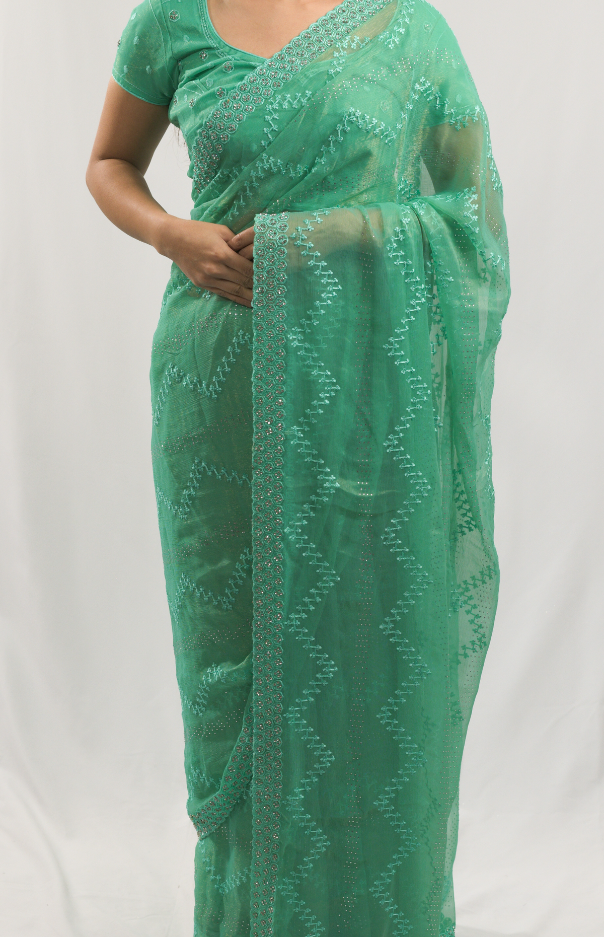 Ehani Green Organza Saree