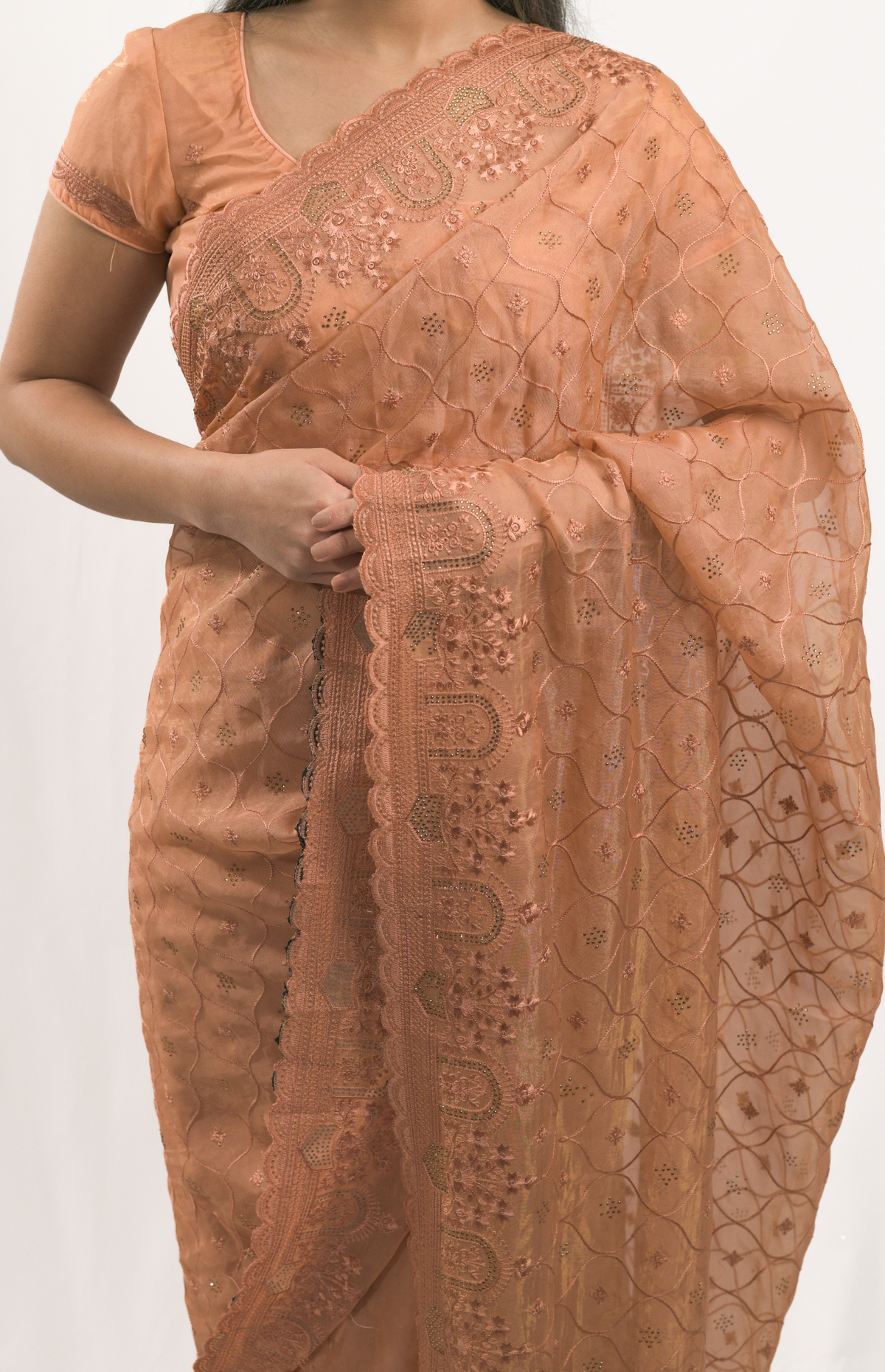 Mud Orange Organza Saree