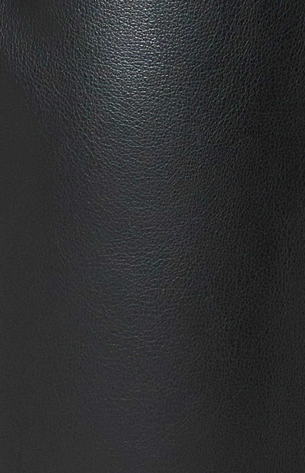 Black Waistband Faux Leather Pants